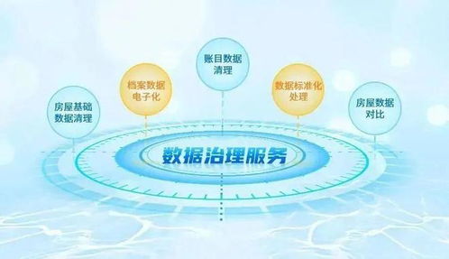 強(qiáng)基固本，鵬業(yè)數(shù)據(jù)治理服務(wù)獲客戶(hù)表彰